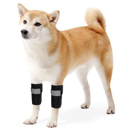 Knee Braces